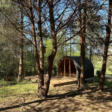 Lesna Sauna Wilcze Wzgorze Holiday home *