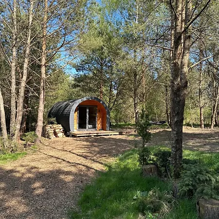 Lesna Sauna Wilcze Wzgorze Holiday home