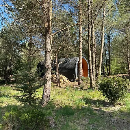 Lesna Sauna Wilcze Wzgorze Holiday home Kleszczewo