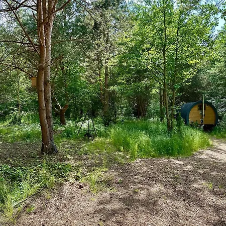 Lesna Sauna Wilcze Wzgorze Holiday home Kleszczewo